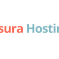 Asura Hosting