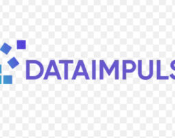 DataImpulse